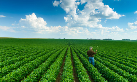 Agroquímicos